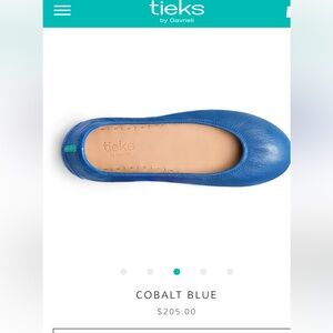 Tieks Vibrant Blue Leather Flats